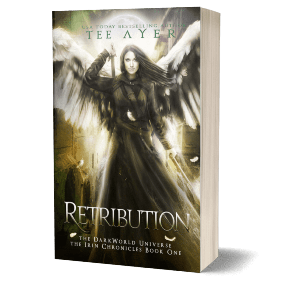 Retribution Paperback